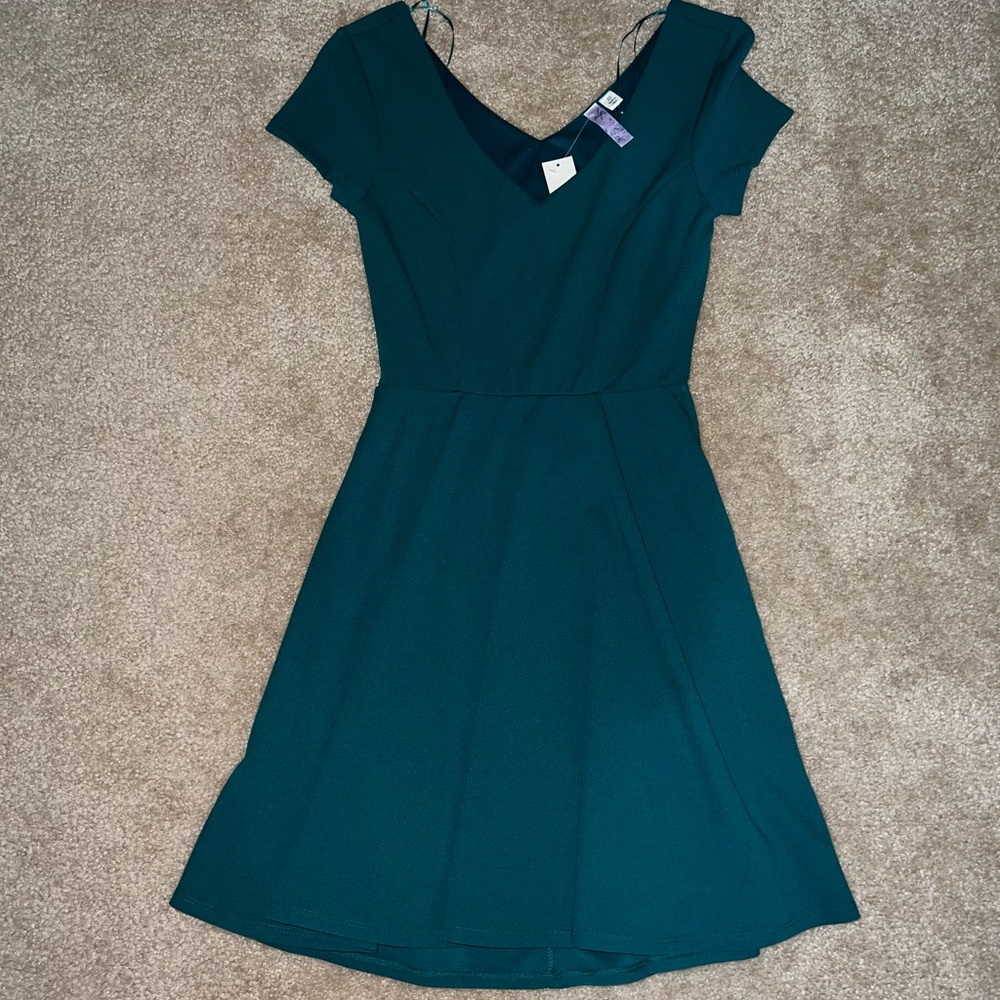 Francesca’s Dress 👗